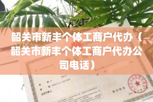 韶关市新丰个体工商户代办（韶关市新丰个体工商户代办公司电话）