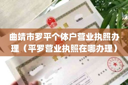 曲靖市罗平个体户营业执照办理（平罗营业执照在哪办理）
