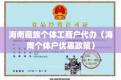 海南藏族个体工商户代办（海南个体户优惠政策）