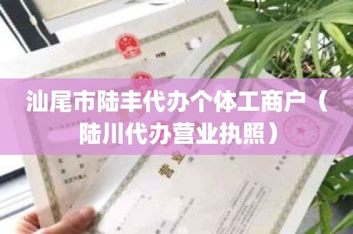 汕尾市陆丰代办个体工商户（陆川代办营业执照）