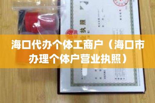 海口代办个体工商户（海口市办理个体户营业执照）