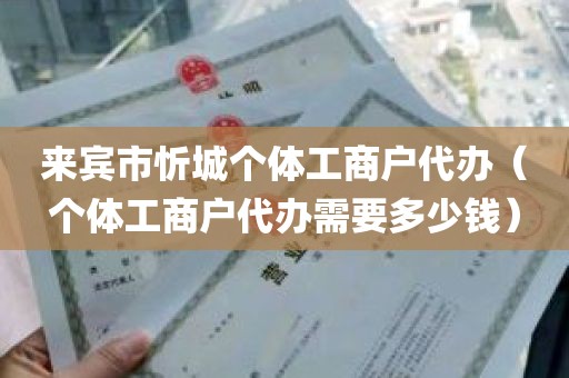 来宾市忻城个体工商户代办（个体工商户代办需要多少钱）