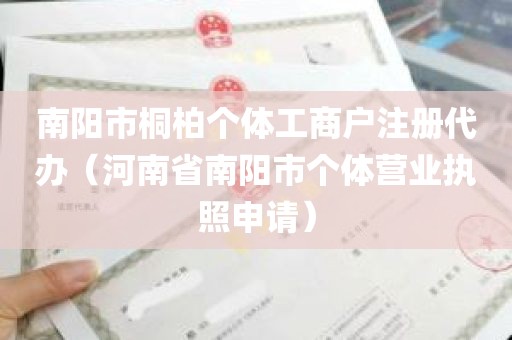 南阳市桐柏个体工商户注册代办（河南省南阳市个体营业执照申请）