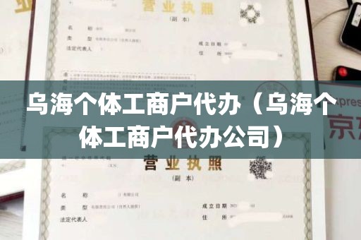 乌海个体工商户代办（乌海个体工商户代办公司）