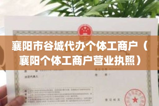 襄阳市谷城代办个体工商户（襄阳个体工商户营业执照）