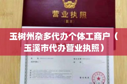 玉树州杂多代办个体工商户（玉溪市代办营业执照）