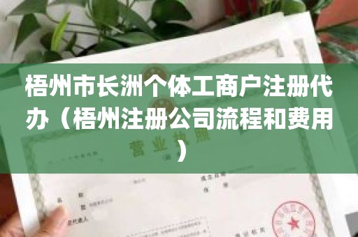 梧州市长洲个体工商户注册代办（梧州注册公司流程和费用）