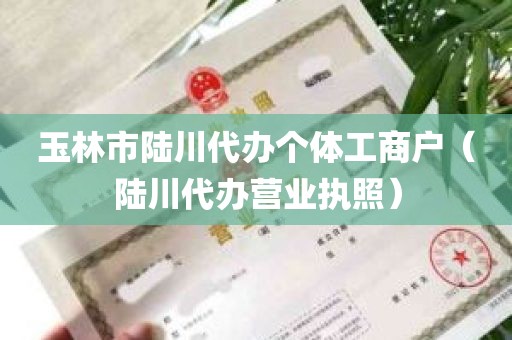 玉林市陆川代办个体工商户（陆川代办营业执照）