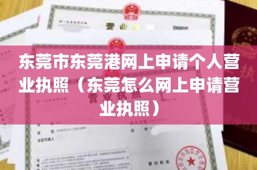 东莞市东莞港网上申请个人营业执照（东莞怎么网上申请营业执照）