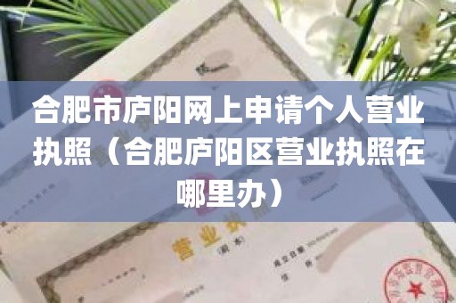 合肥市庐阳网上申请个人营业执照（合肥庐阳区营业执照在哪里办）