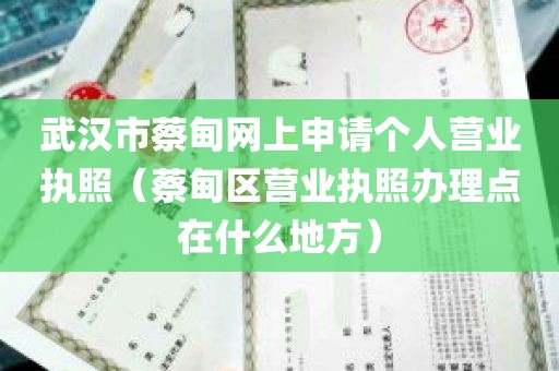 武汉市蔡甸网上申请个人营业执照（蔡甸区营业执照办理点在什么地方）