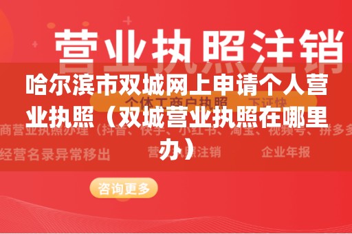 哈尔滨市双城网上申请个人营业执照（双城营业执照在哪里办）