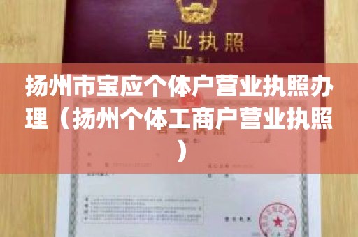 扬州市宝应个体户营业执照办理（扬州个体工商户营业执照）