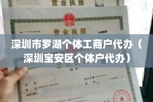 深圳市罗湖个体工商户代办（深圳宝安区个体户代办）