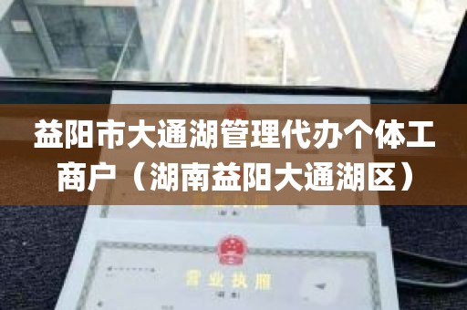 益阳市大通湖管理代办个体工商户（湖南益阳大通湖区）