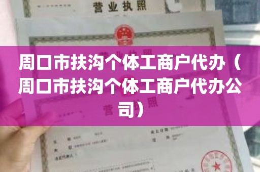 周口市扶沟个体工商户代办（周口市扶沟个体工商户代办公司）