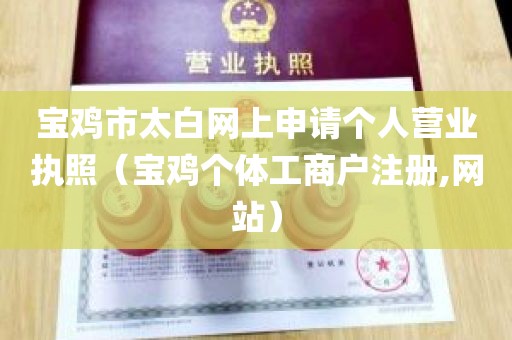 宝鸡市太白网上申请个人营业执照（宝鸡个体工商户注册,网站）