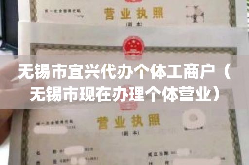 无锡市宜兴代办个体工商户（无锡市现在办理个体营业）