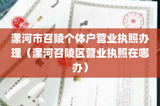 漯河市召陵个体户营业执照办理（漯河召陵区营业执照在哪办）