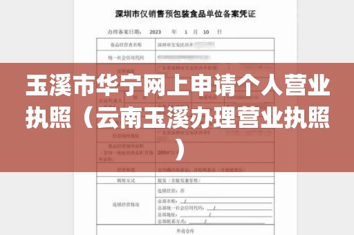 玉溪市华宁网上申请个人营业执照（云南玉溪办理营业执照）