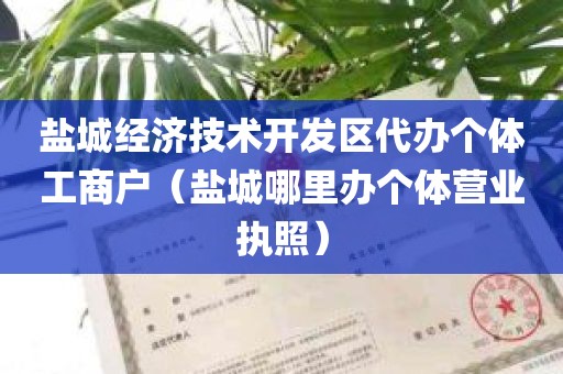 盐城经济技术开发区代办个体工商户（盐城哪里办个体营业执照）