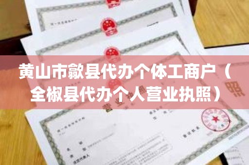 黄山市歙县代办个体工商户（全椒县代办个人营业执照）