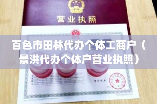 百色市田林代办个体工商户（景洪代办个体户营业执照）