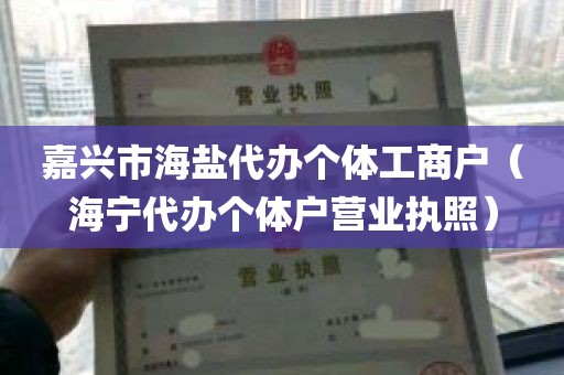 嘉兴市海盐代办个体工商户（海宁代办个体户营业执照）