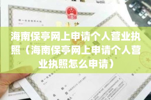 海南保亭网上申请个人营业执照（海南保亭网上申请个人营业执照怎么申请）