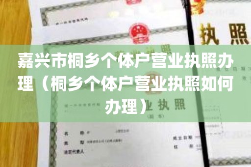嘉兴市桐乡个体户营业执照办理（桐乡个体户营业执照如何办理）