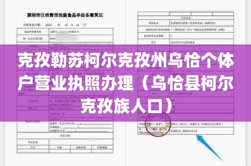克孜勒苏柯尔克孜州乌恰个体户营业执照办理（乌恰县柯尔克孜族人口）