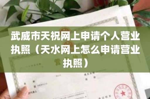 武威市天祝网上申请个人营业执照（天水网上怎么申请营业执照）