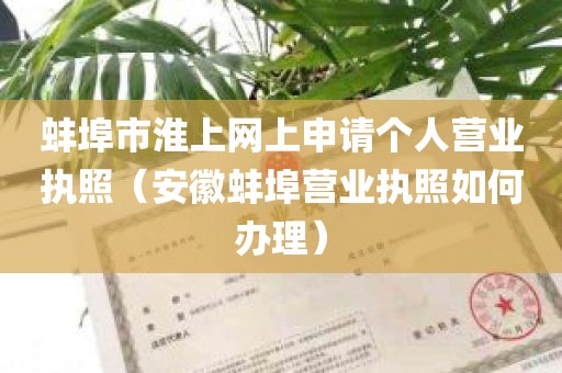 蚌埠市淮上网上申请个人营业执照（安徽蚌埠营业执照如何办理）