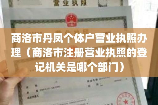 商洛市丹凤个体户营业执照办理（商洛市注册营业执照的登记机关是哪个部门）