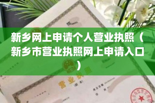新乡网上申请个人营业执照（新乡市营业执照网上申请入口）