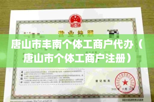 唐山市丰南个体工商户代办（唐山市个体工商户注册）