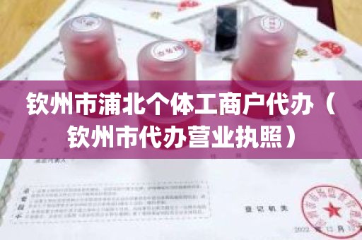 钦州市浦北个体工商户代办（钦州市代办营业执照）