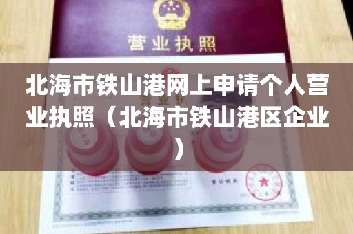 北海市铁山港网上申请个人营业执照（北海市铁山港区企业）