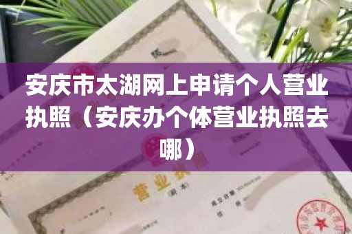 安庆市太湖网上申请个人营业执照（安庆办个体营业执照去哪）