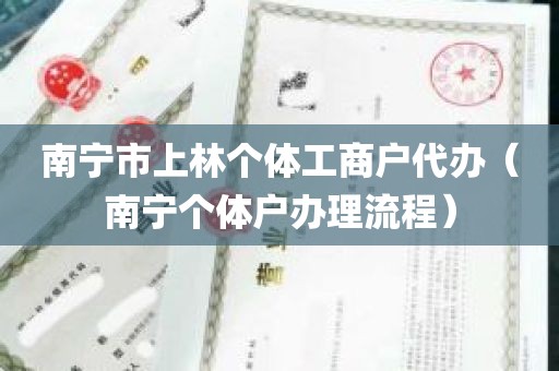 南宁市上林个体工商户代办（南宁个体户办理流程）