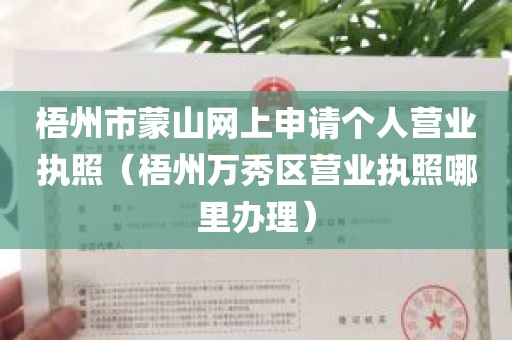 梧州市蒙山网上申请个人营业执照（梧州万秀区营业执照哪里办理）
