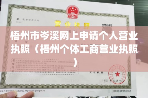 梧州市岑溪网上申请个人营业执照（梧州个体工商营业执照）