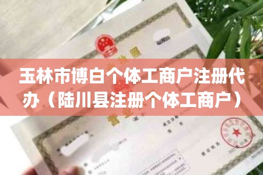 玉林市博白个体工商户注册代办（陆川县注册个体工商户）