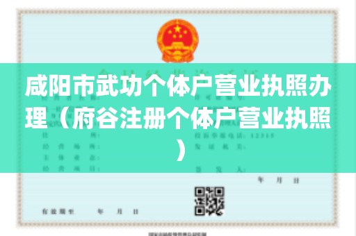 咸阳市武功个体户营业执照办理（府谷注册个体户营业执照）