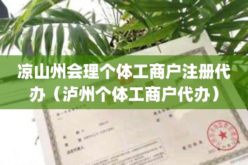 凉山州会理个体工商户注册代办（泸州个体工商户代办）
