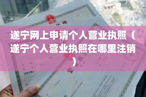 遂宁网上申请个人营业执照（遂宁个人营业执照在哪里注销）