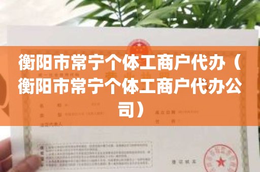 衡阳市常宁个体工商户代办（衡阳市常宁个体工商户代办公司）