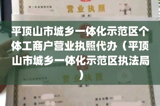 平顶山市城乡一体化示范区个体工商户营业执照代办（平顶山市城乡一体化示范区执法局）