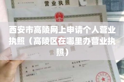 西安市高陵网上申请个人营业执照（高陵区在哪里办营业执照）