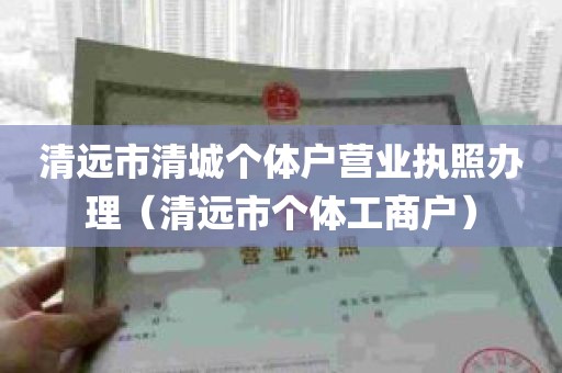 清远市清城个体户营业执照办理（清远市个体工商户）